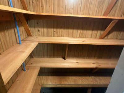 Closet Mold Remediation