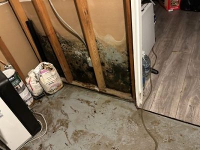 Residential Mold Removal