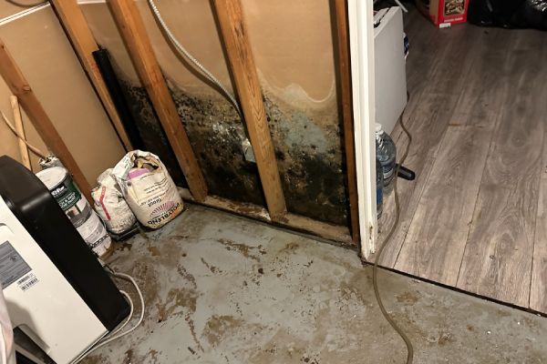 Residential Mold Removal